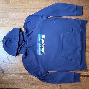 Patagonia Regular Fit Hoodie
